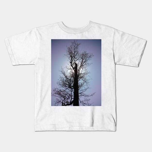 Winter Tree Kids T-Shirt by JadedAlice